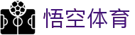 悟空体育门户 - 综合体育资源与入口平台